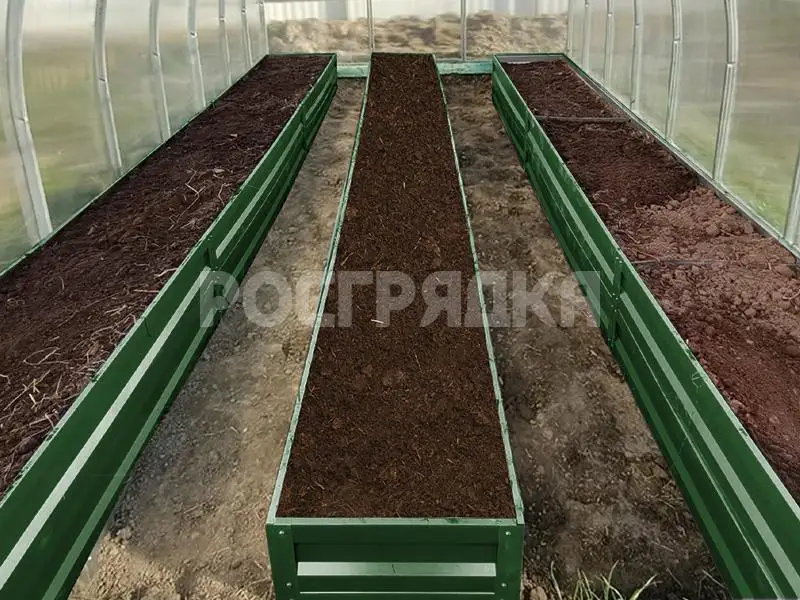 Грядки-в-теплицу-30-зеленые